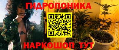 не бодяженный Гай